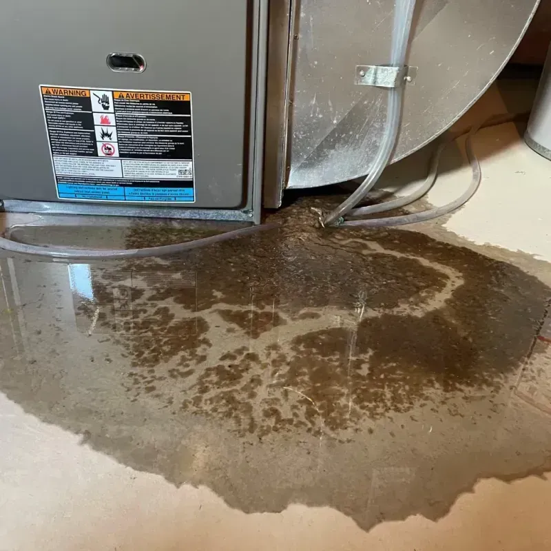 Appliance Leak Cleanup in Milan, MI